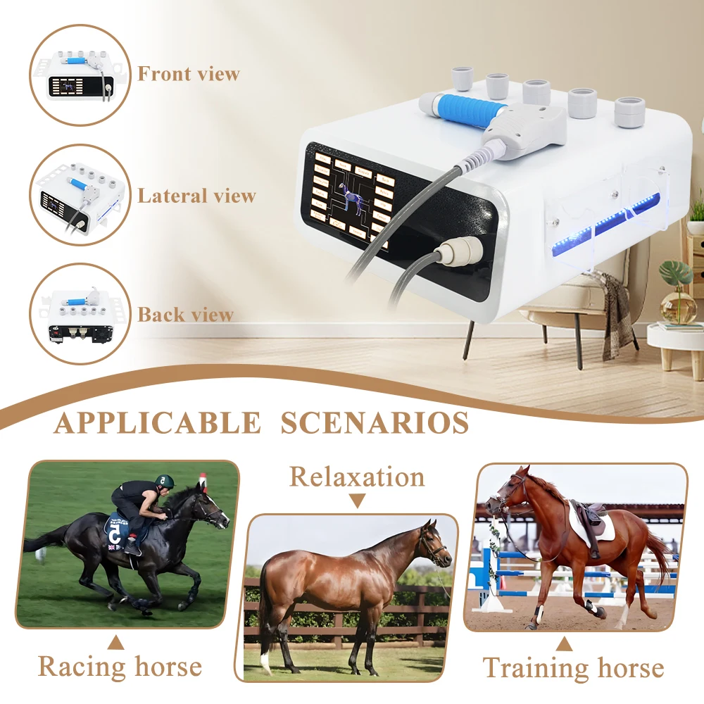 2025 Pneumatic Shock Wave Physiotherapy Massager Relieve Scar Tissue Pain Tendon Injury 10Bar Animals Shockwave Therapy Machine