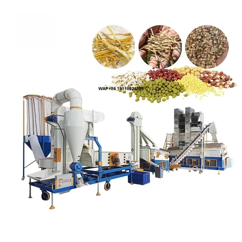 Project Cocoa Bean Sorghum Mung Bean Seed Cleaning and Processing Line