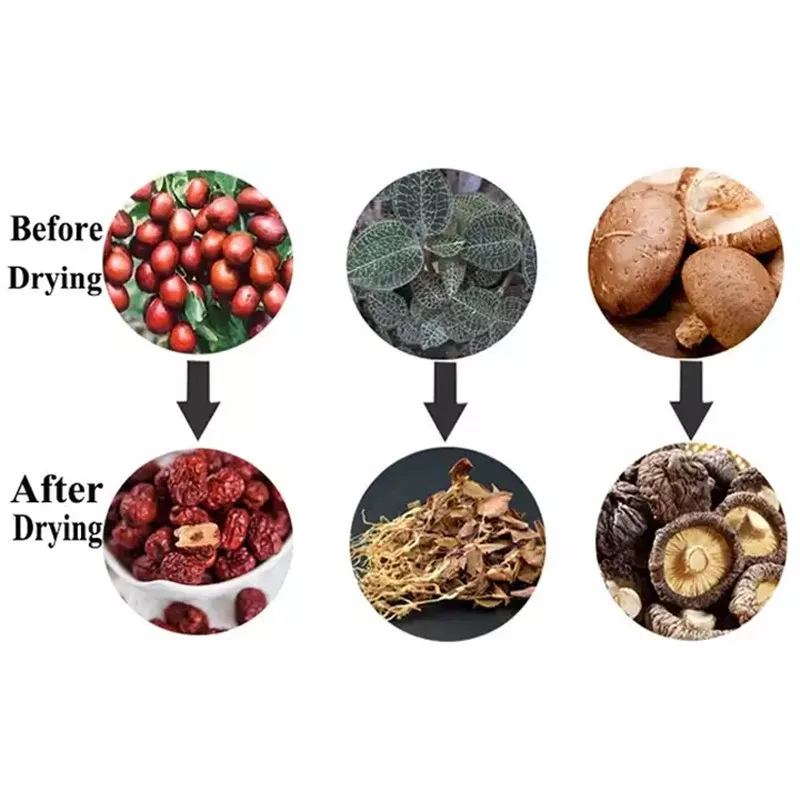 เครื่องเครื่องอบแห้งเมล็ดถั่วผลไม้ลูกเกดขนาดใหญ่9ชั้นแบบอัตโนมัติสำหรับการแปรรูปอาหาร