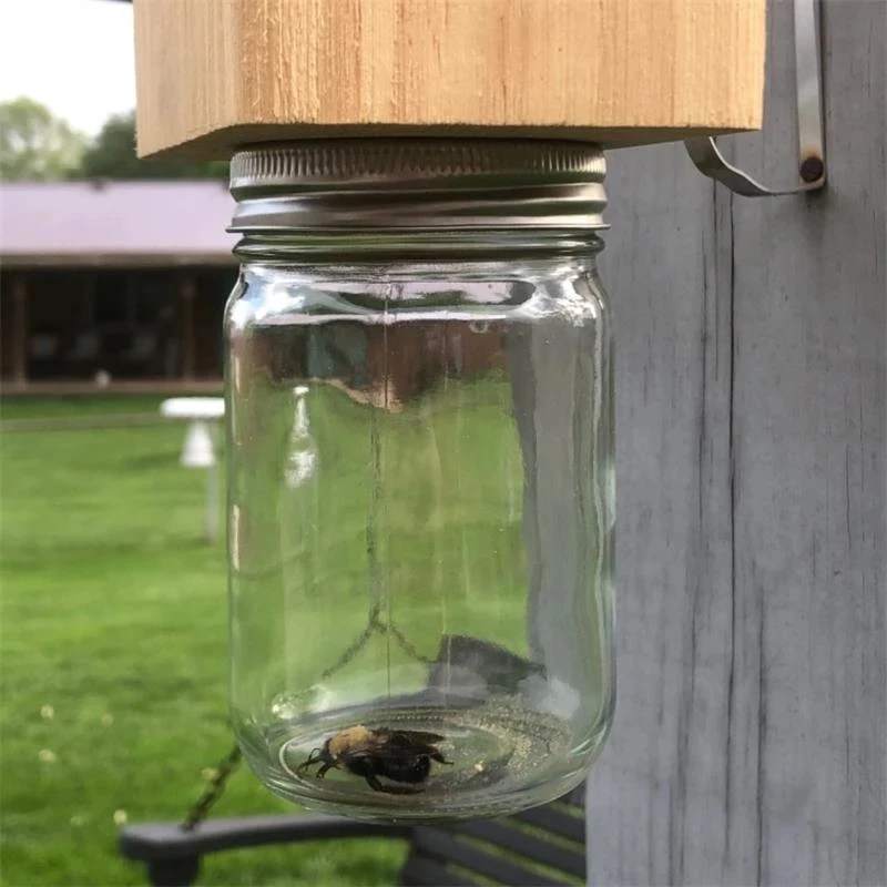 

Carpenter Bee Trap Animal Trap Wooden Natural Wooden House Style Carpenter Bee Traps Wood Substrate Bee Catcher Hornets Trap