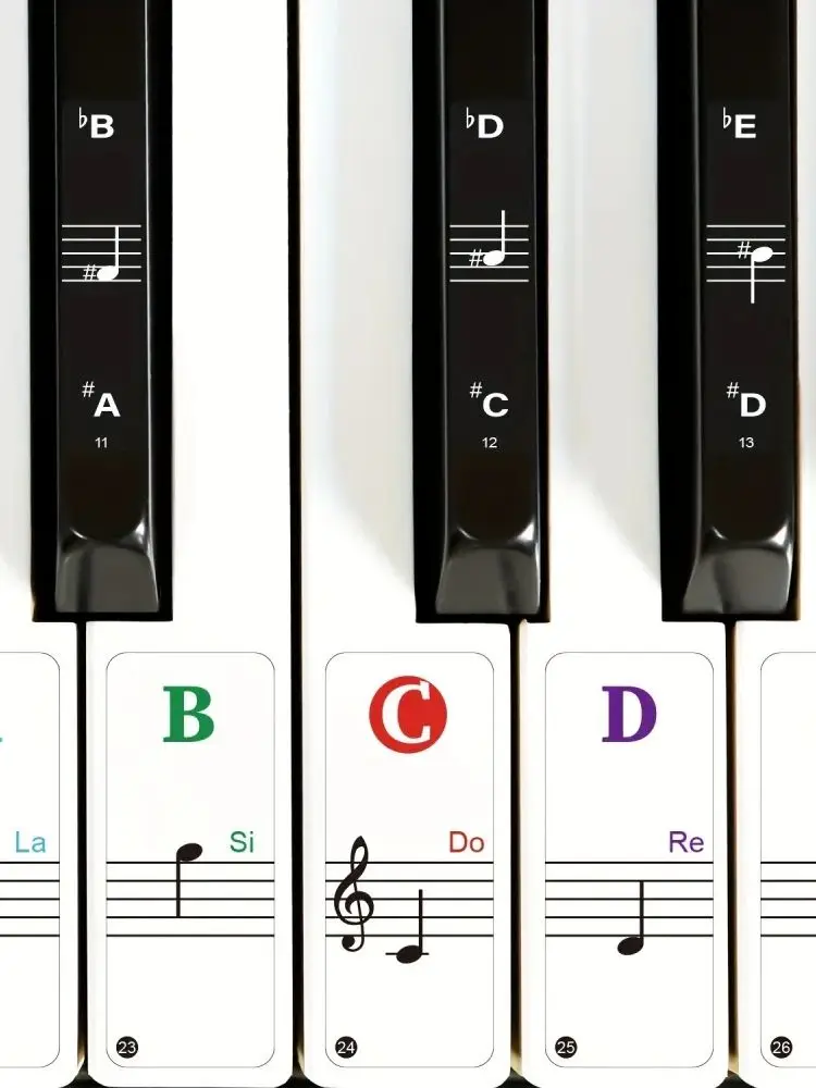 2 sets pianotoetsenbordstickers 88/61/54/49 toetsen met verwijderbare gekleurde notenetiketten Beginner Letter Piano Stickers - afbeelding 2