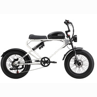 MEELOD DK300PLUS Adult Electric Bicycle 750W Motor Mountain Electric Bike 48V20Ah Lithium Battery 20*4.0 Inch Snow Tire EBike