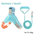 Sky Blue L