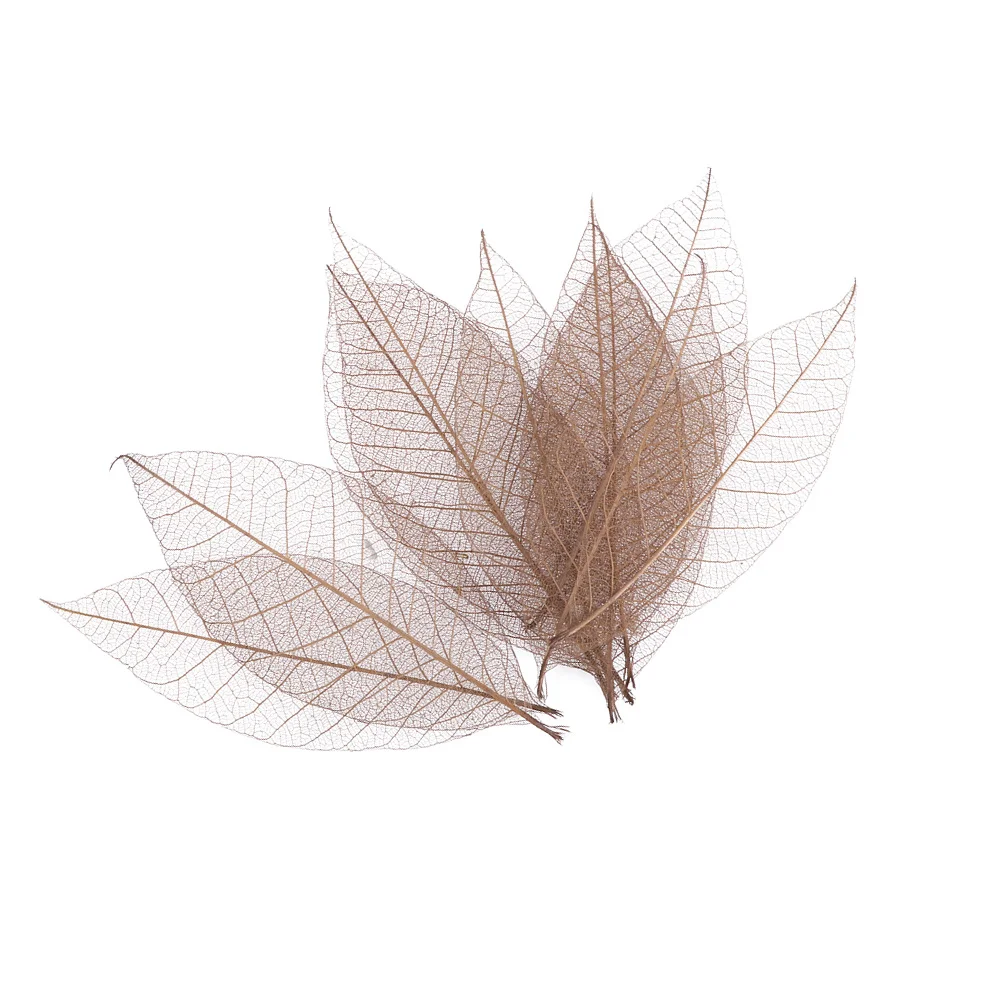 

40Pcs Handmade Natural Leaf Veins DIY Craft Materials Wedding Decorations Scrapbooks Cards Dried Flowers Specimen