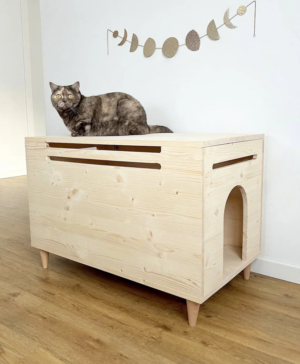 Modern Large Litter Box Cabinet with Top Opening and Side Entrance, Cat Litter Box Cover, Cat Furniture, Litter Box Enclosure