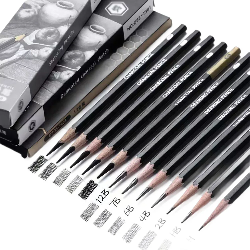 12 pieces Sketching pencil for students, beginner charcoal pencil set for sketching, various hardness for art painting