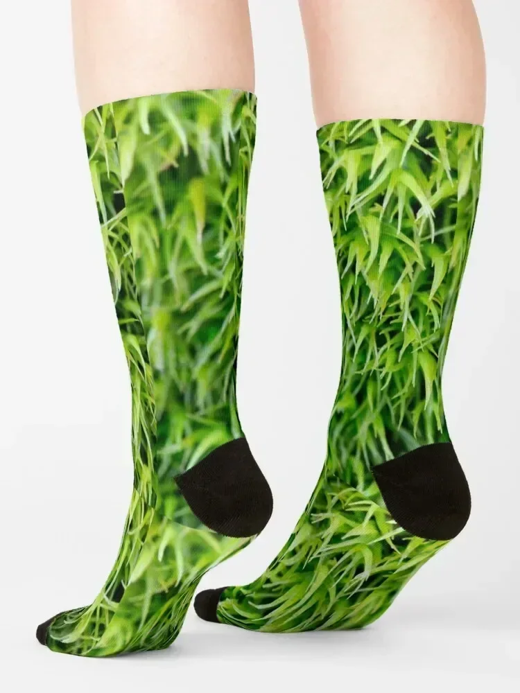 Grassy Plain Socks Crossfit gym Hiking boots sheer Socks For Women Men's