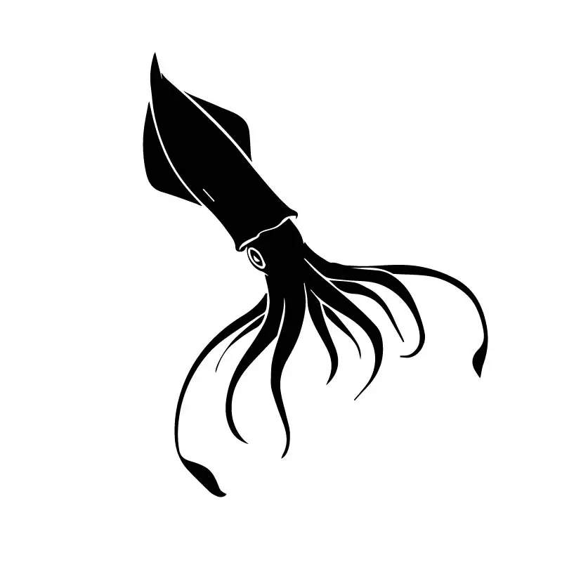 

LYKX Funny Squid Pattern Family Decoration Car Sticker Automobiles Motorcycles Exterior Accessories Vinyl Decals