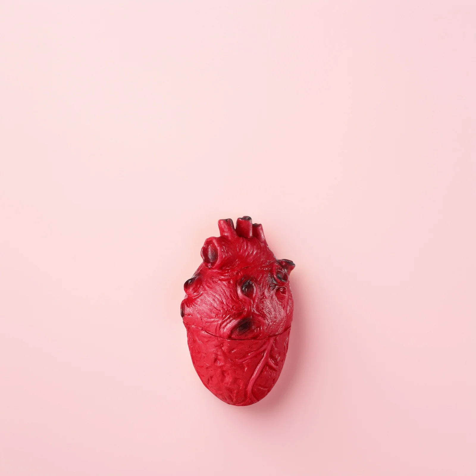 

Simulated Heart Prop Realistic Creepy Human gans Fake Bloody Heart Halloween DecorHaunted House Party Stage Performance April
