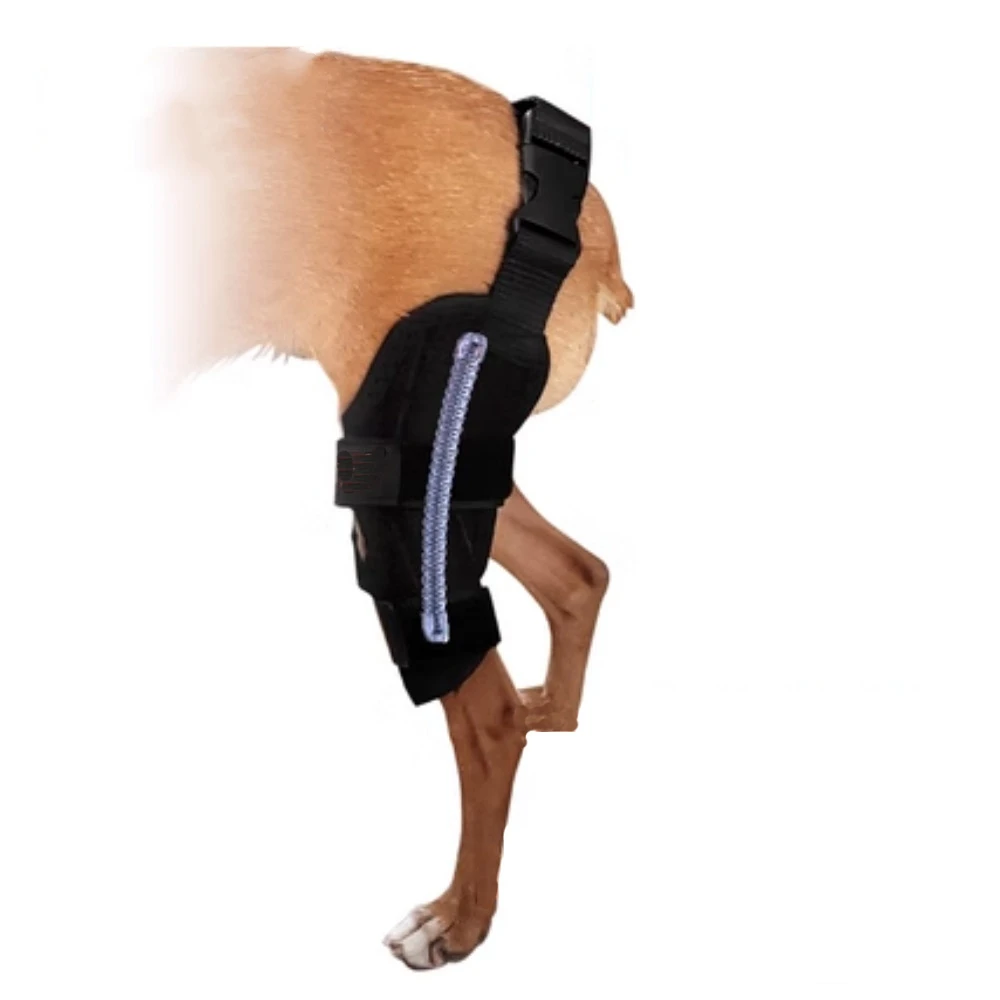 Pet Dog Injury Knee Brace Leg Cruciate Ligament Patella Dislocation Fixation Strap To Protect Stifle Fractures Inflammation Pain