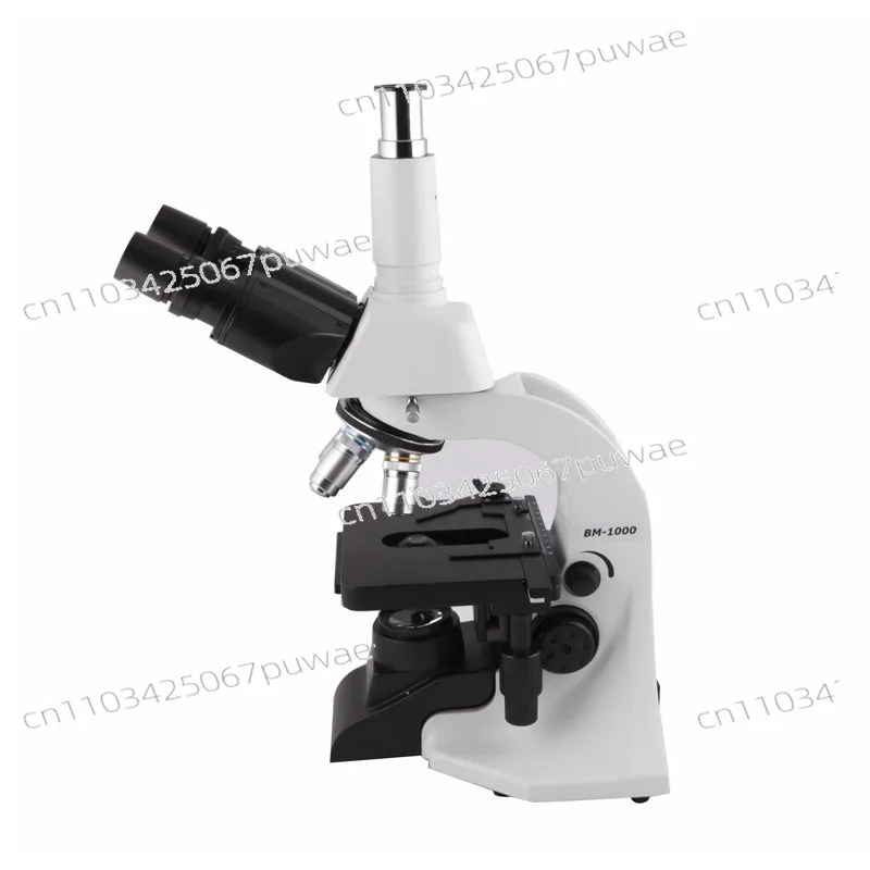 BM1000 binocular BM1000 trinocular BM2000 high power biological microscope