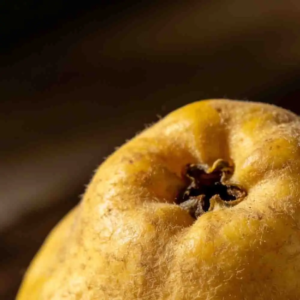 

T-Motor V5315 300KV FPV Brushless Motor for 13inch X4 or X8 Cinematic Drones RC Accessories