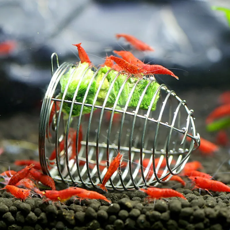 Shrimp Feeding Dish Stainless Steel Shrimp Bowls Feed Dish Metal Container Bait Cage Fish Tank Accessories For Shrimp Food Tool