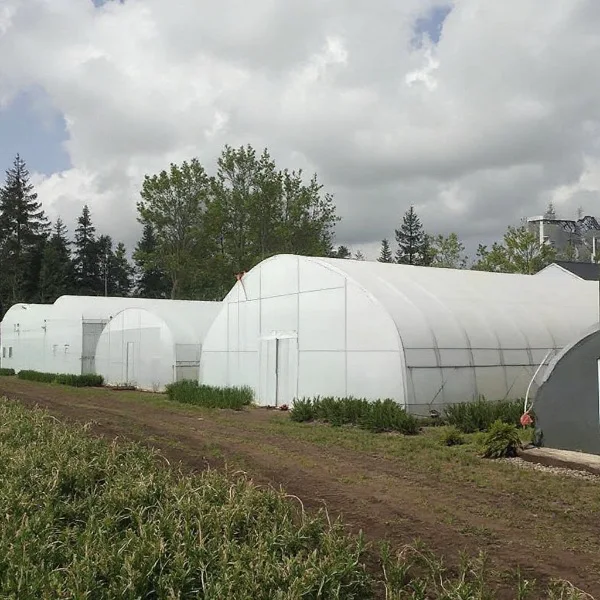 2025년 야외 차광 필름 온실, 채소 재배용, 단일 유닛 지상 설치형 온실