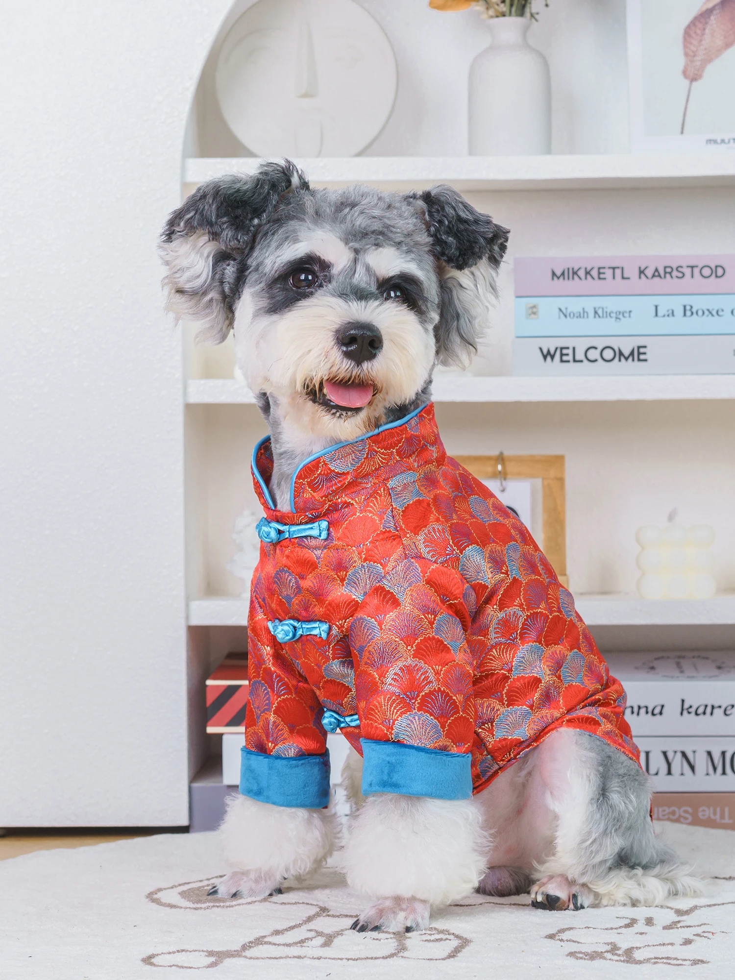 Make Your Pet Stand Out with Eye-Catching Chinese Style Clothes