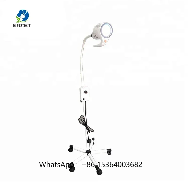 

Quality Portable Vet LED Examination Lamp Veterinary Medical Device
