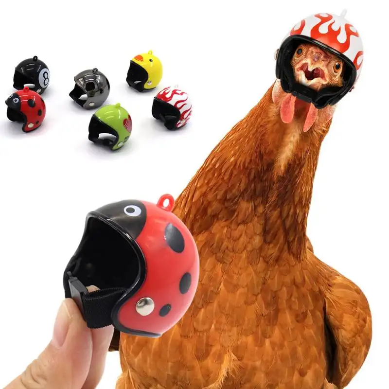 Funny Chicken Helmet Bird Protect Cap Sun Rain Protection Helmet DIY  Small Pet Protective Gear Supplies Small Pet Accessories