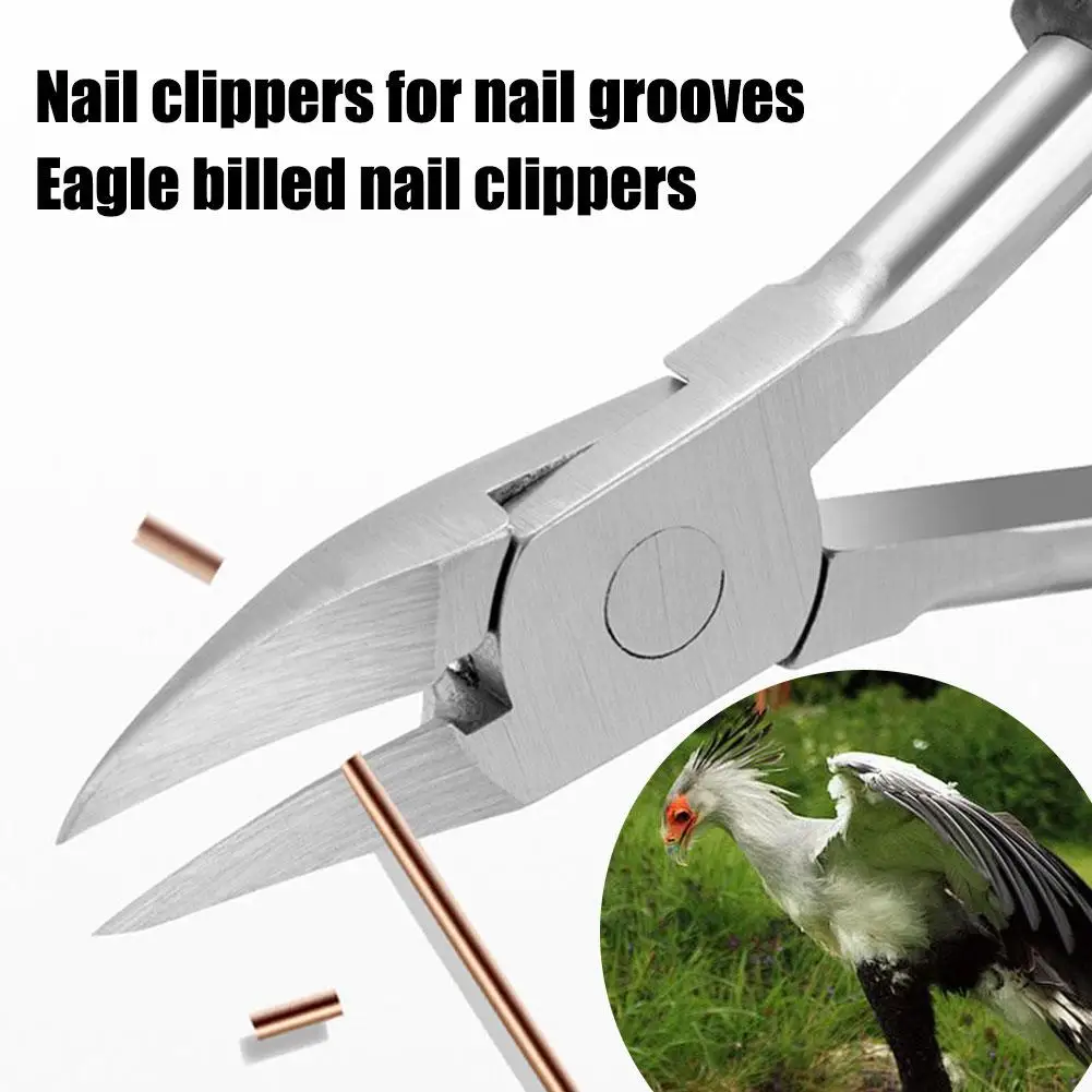 New Trendy Pet Birds Parrots Toenail Clippers Dead Quality Nail Portable High Skin Bird Tool Nail Removal Parrot Pedicure C H2Z8