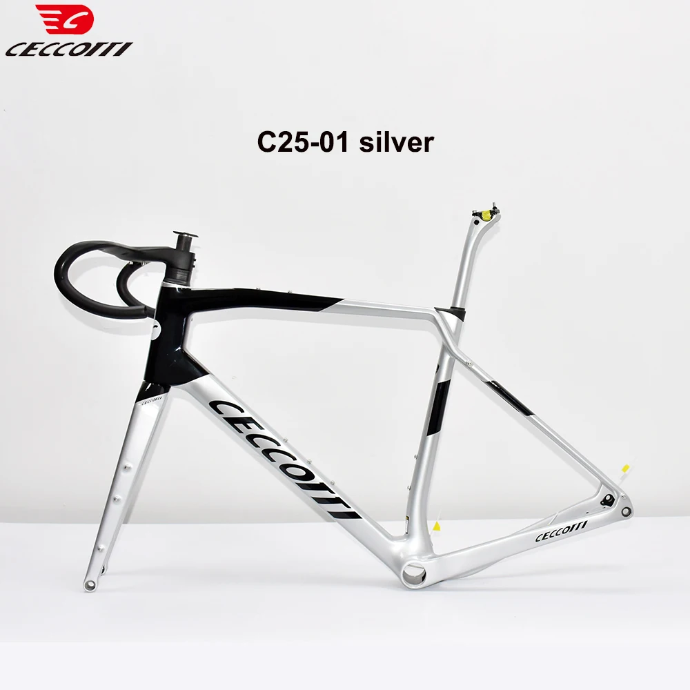 CECCOTTI-Carbon Frame with Hidden Cable, Gravel Frame Metal colored bicycle frame