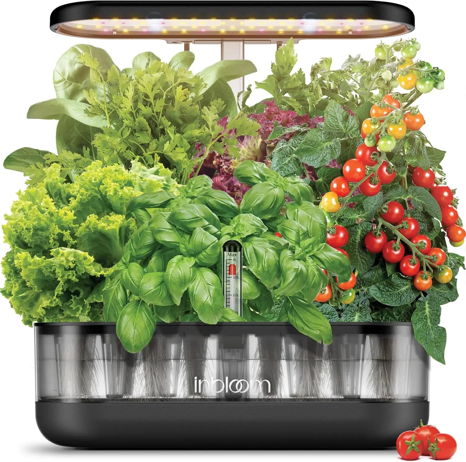 

12 Pods Hydroponics Growing System Kit Herb Garden Planter Indoor Kit Indoor Gardening Hydroponics Growing System with 4.2LWater