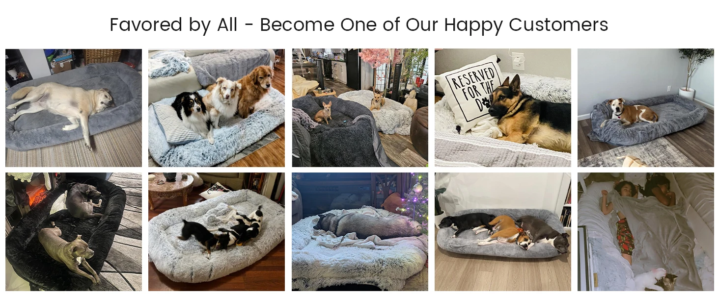 human dog bed