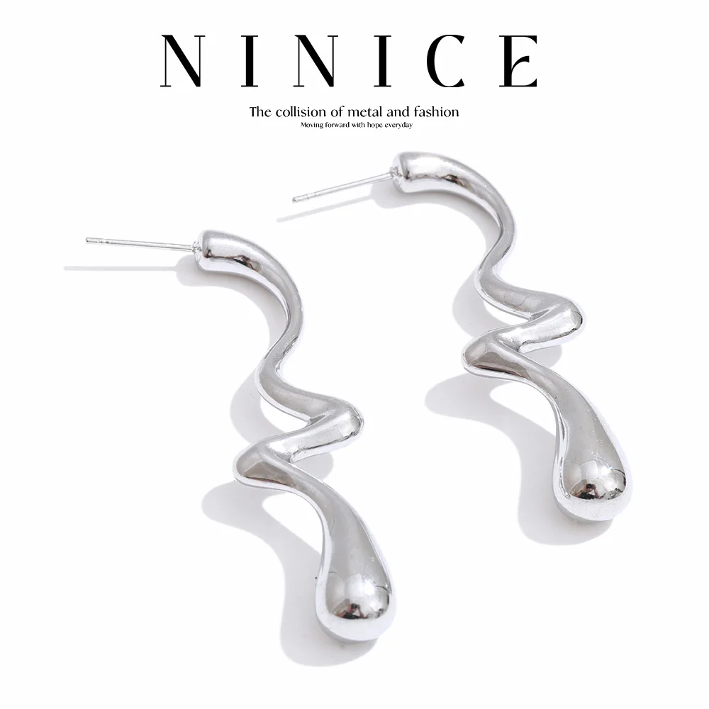 NiNice Stainless Steel Earrings Curved Geometric Fashion Design Selected Jewelry Gifts Wholesale