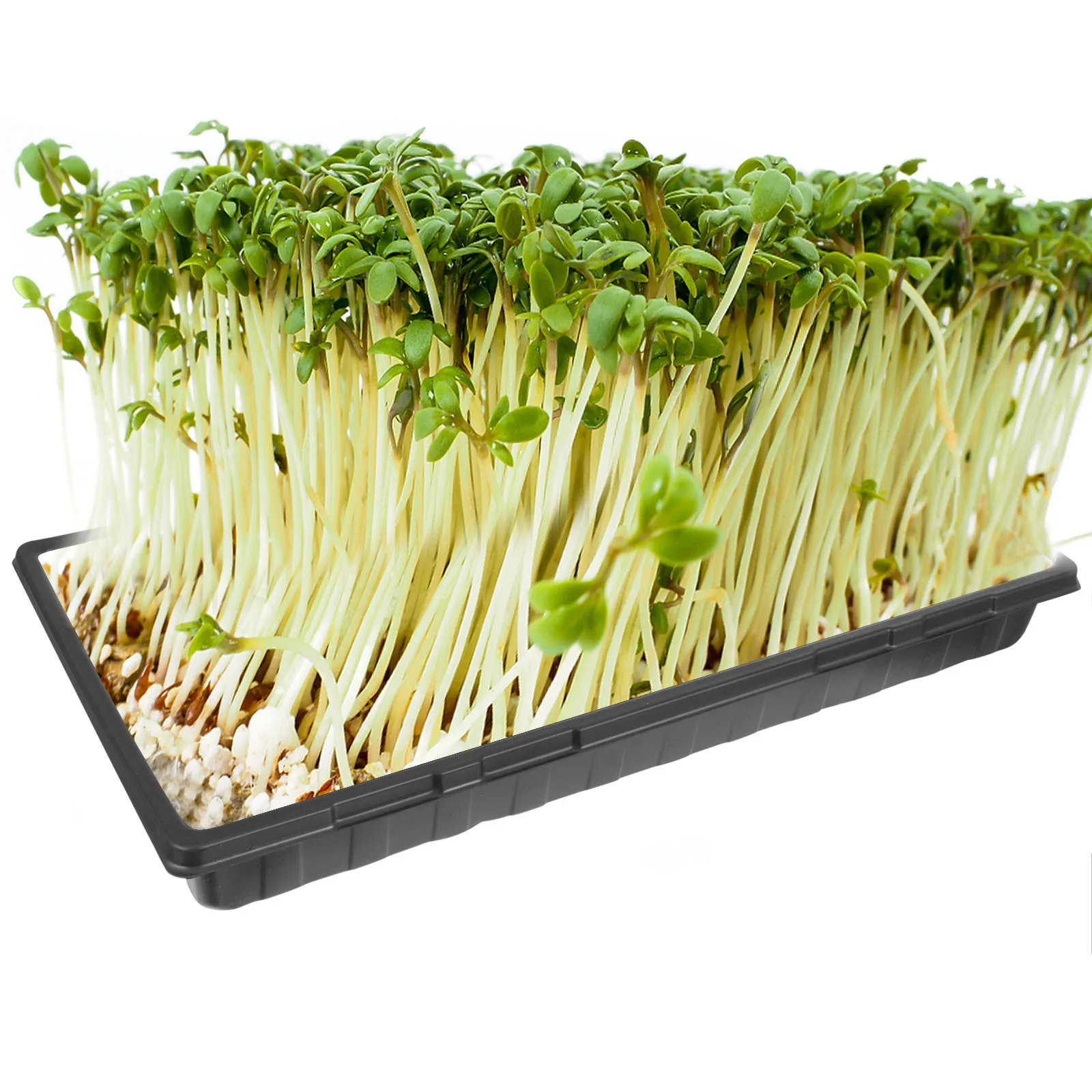 

4pcs Thickened Nursery Tray Germination Tray For Garden Green Gardening Lightweight Seed Starting Propagation Growing Trays No