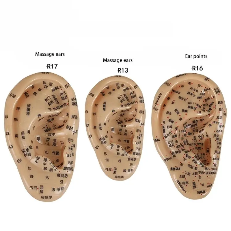 

Модель для массажа ушей из ПВХ, 13/16/17 см, 1 шт.