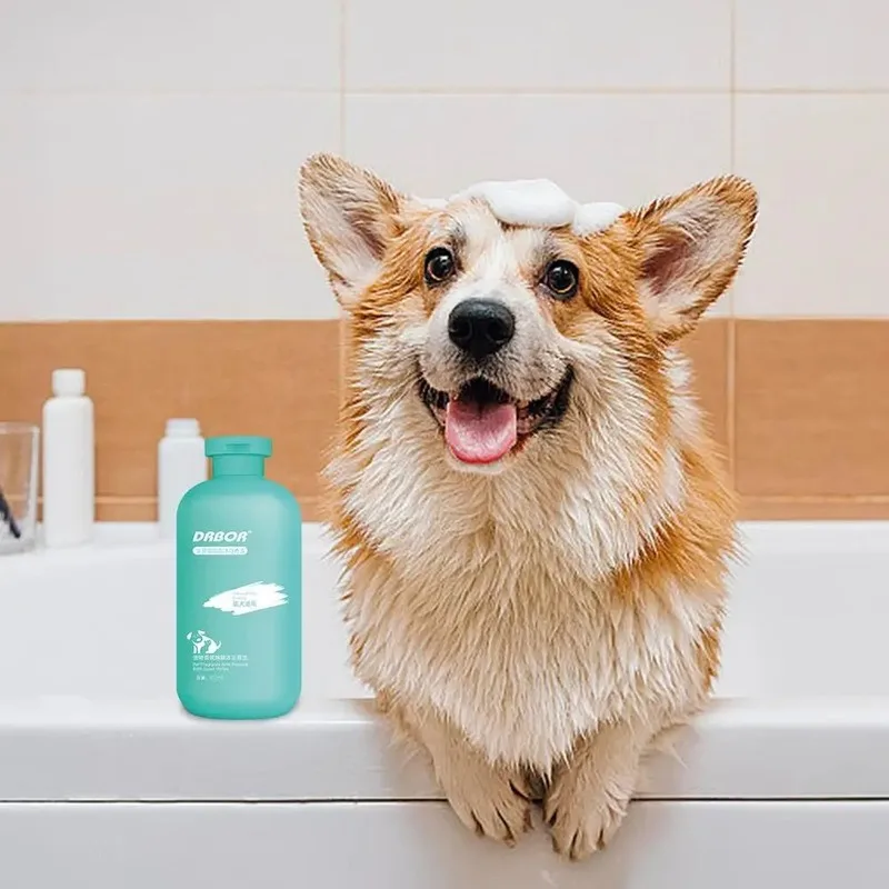 What Is Homemade Dog Shampoo and How It Works