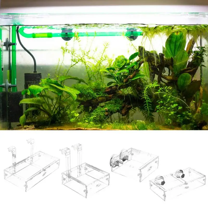 Aquarium Accessories Acrylic Fish Tank Shrimp Feeder Breeding Isolation Box Aquarium Hatchery Incubator Holder Fish Supplies