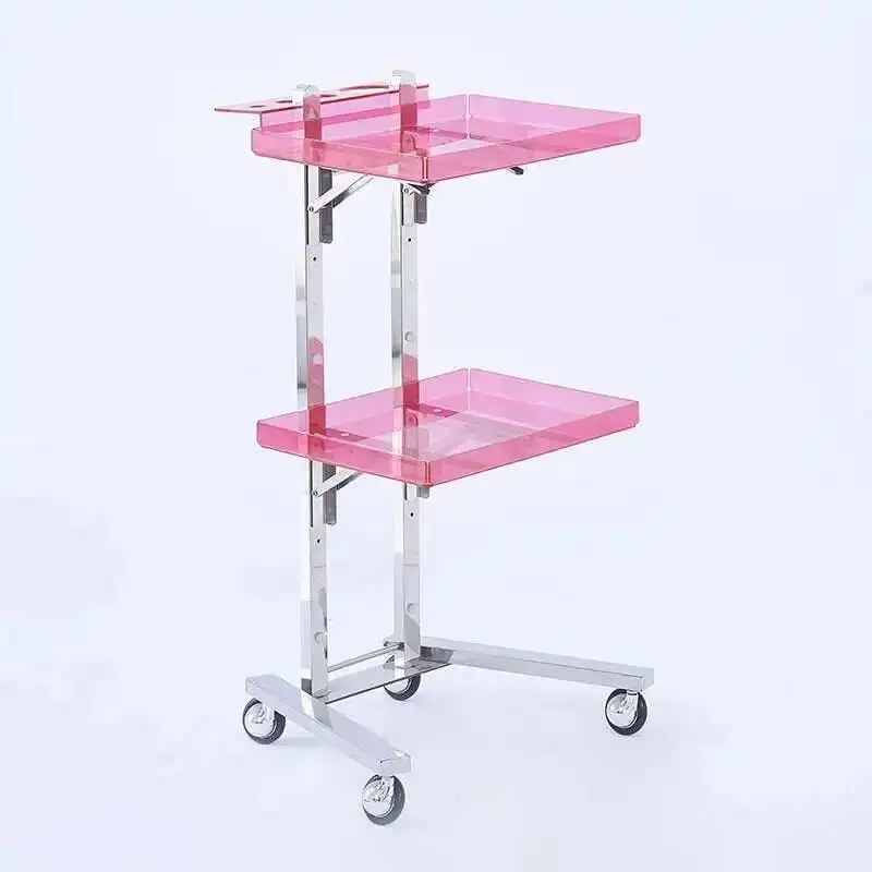 

Barber Tattoo Hairdresser Salon Spa Trolley Cosmetic Rolling Salon Trolley Lash Acrylic Carrito Auxiliar Salon Furniture WKST