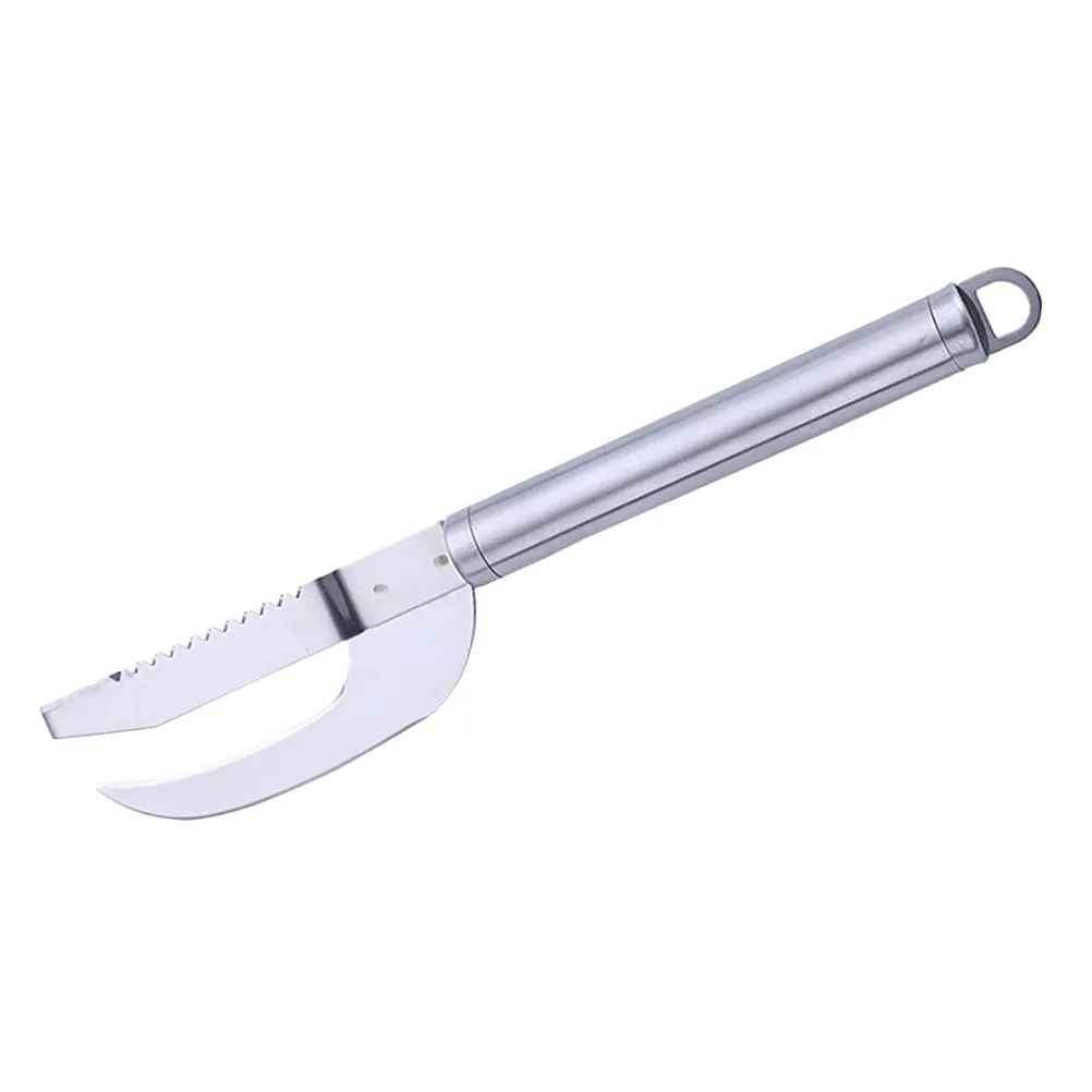 

Fish Scale Remover Premium Quality Ergonomic Grip Suitable for Home Picnic Fish Cleaning Tool Kitchen Gadget Kitchen Gadgets