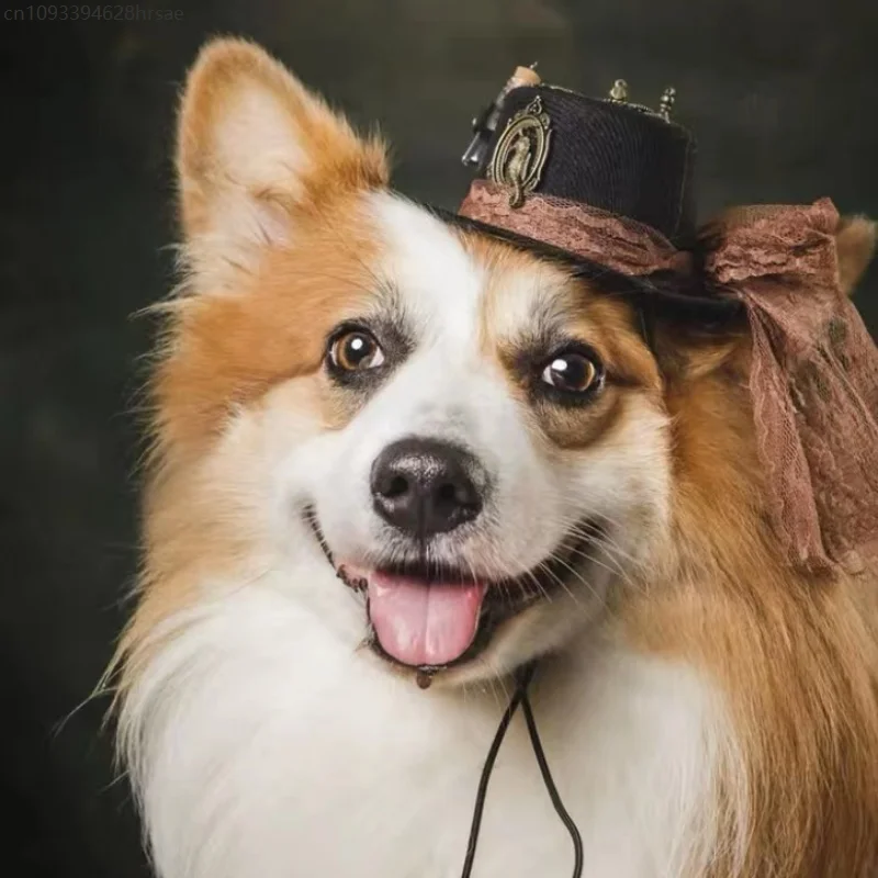 Nuevo sombrero para mascotas, juego de rol, sombrero de juguete Steampunk, sombrero para gato y perro, accesorio para fiesta de Halloween, disfraz de Carnaval