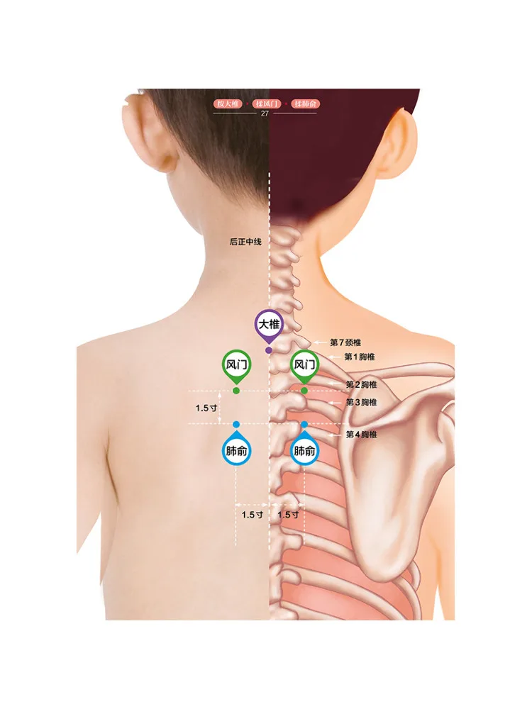 Livro-Guia ilustrado de técnicas de massagem pediátrica de Winshare Zhang Sufang