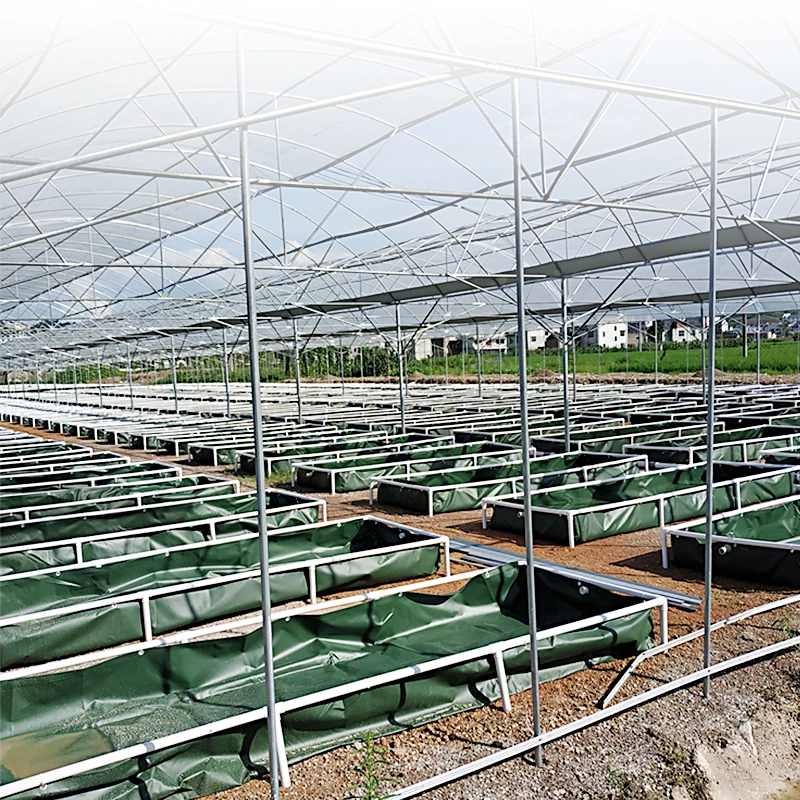 Commercial Aquaponic Fish Farming System Tilapia Water Treatment Featuring Protein Skimmer Drum Filter Made Durable Plastic PP