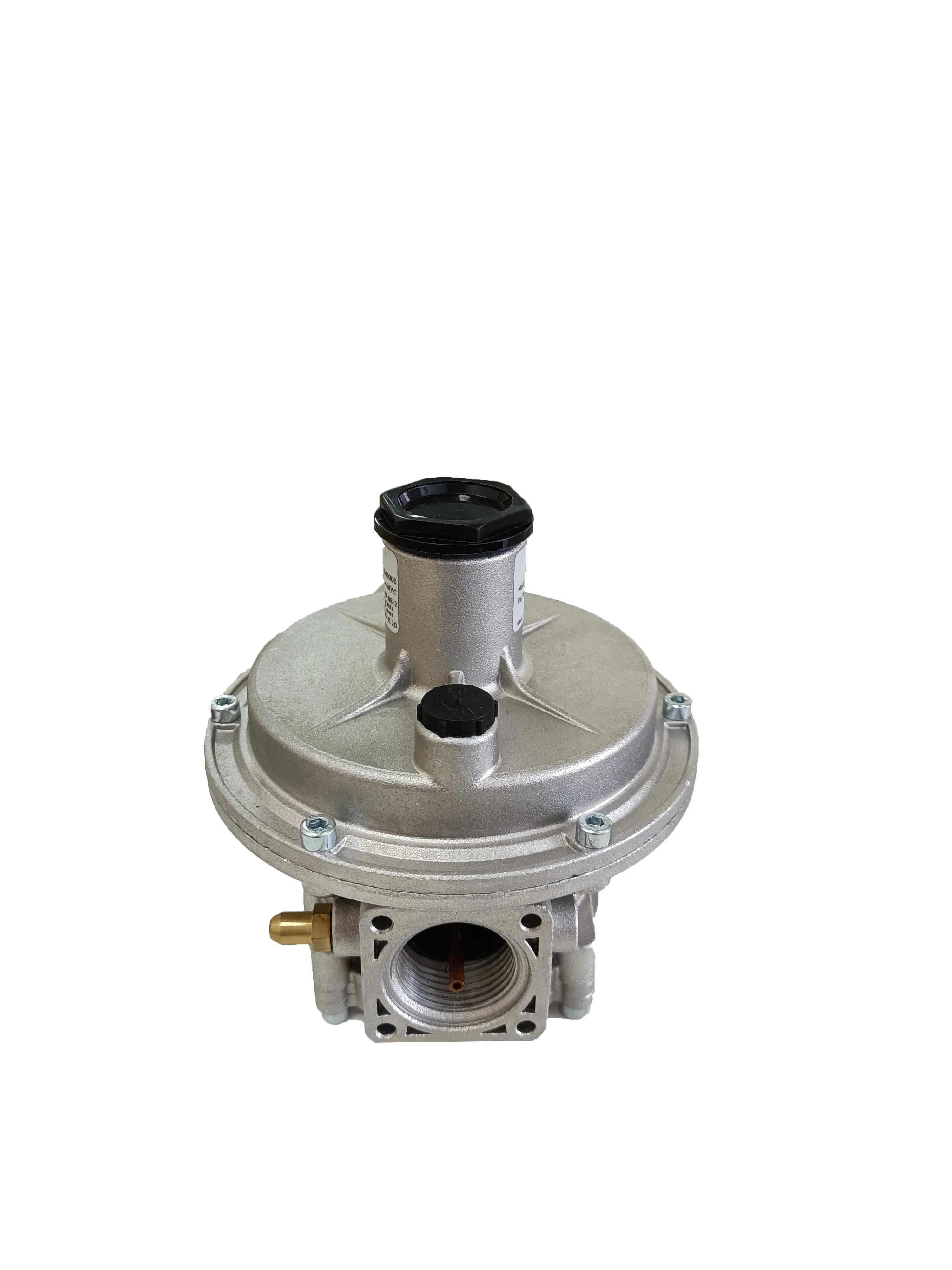 OEM  Good Quality Pressure Regulating Valve RG/2MCS DN40