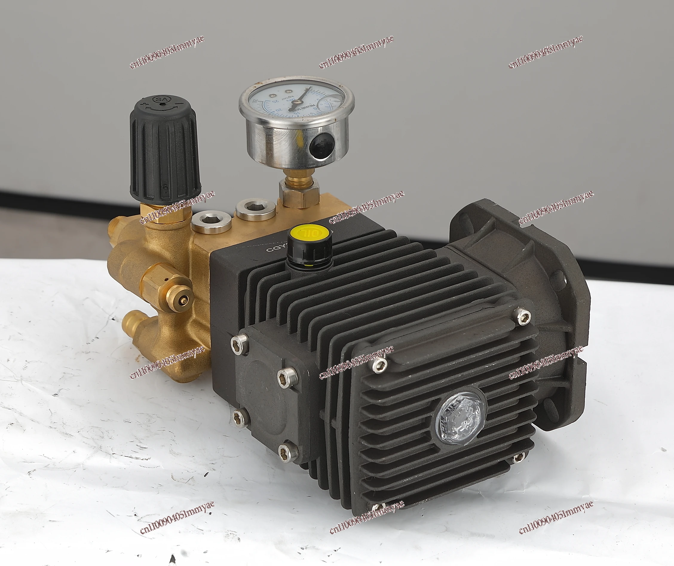 

Professional 2KW 6L/Min Commercial Electric High-Pressure Washer Pump 100Bar/300Bar for Home & Car Wash Shop Use