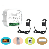 100A WIFI Intelligent Energy Meter APP Control 1/2 Channel KWh Power Monitor 110-240 V 50/60Hz Solar PV Two Way Power Monitor