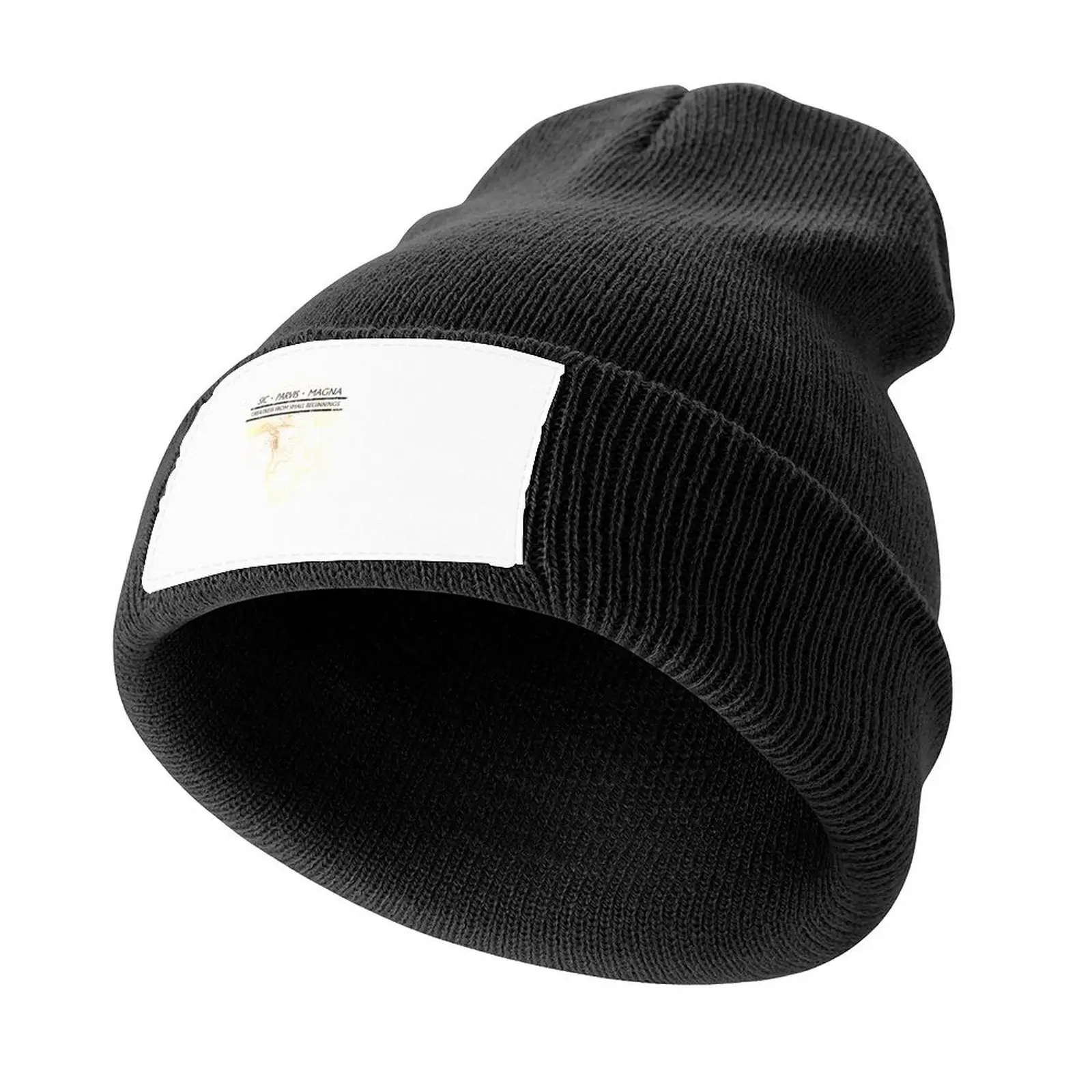 

UnchartedSIC PARVIS MAGNA Knitted Cap Golf Wear Hat Luxury Brand For Man Women's