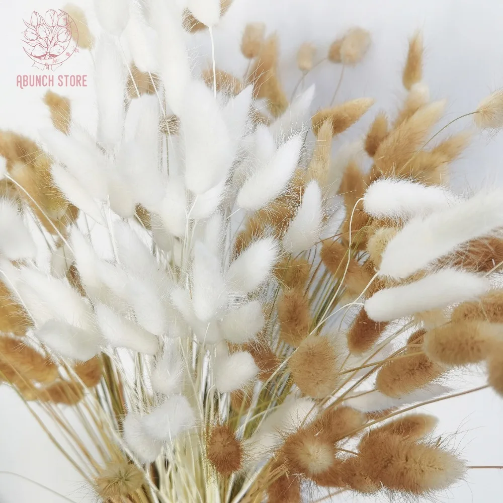 100Pcs Natural Dried Rabbit Tails Grass Bohemian Home Decoration Pampas Flower Bouquet Wedding Decor Spring Valentine's Day Gift