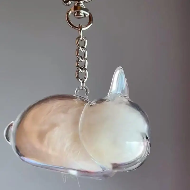 

1/2pcs Memorial Collection Bag Pet Hair Transparent Rabbit Hair Organizer Pendant Keychain Backpack Souvenirs Storage