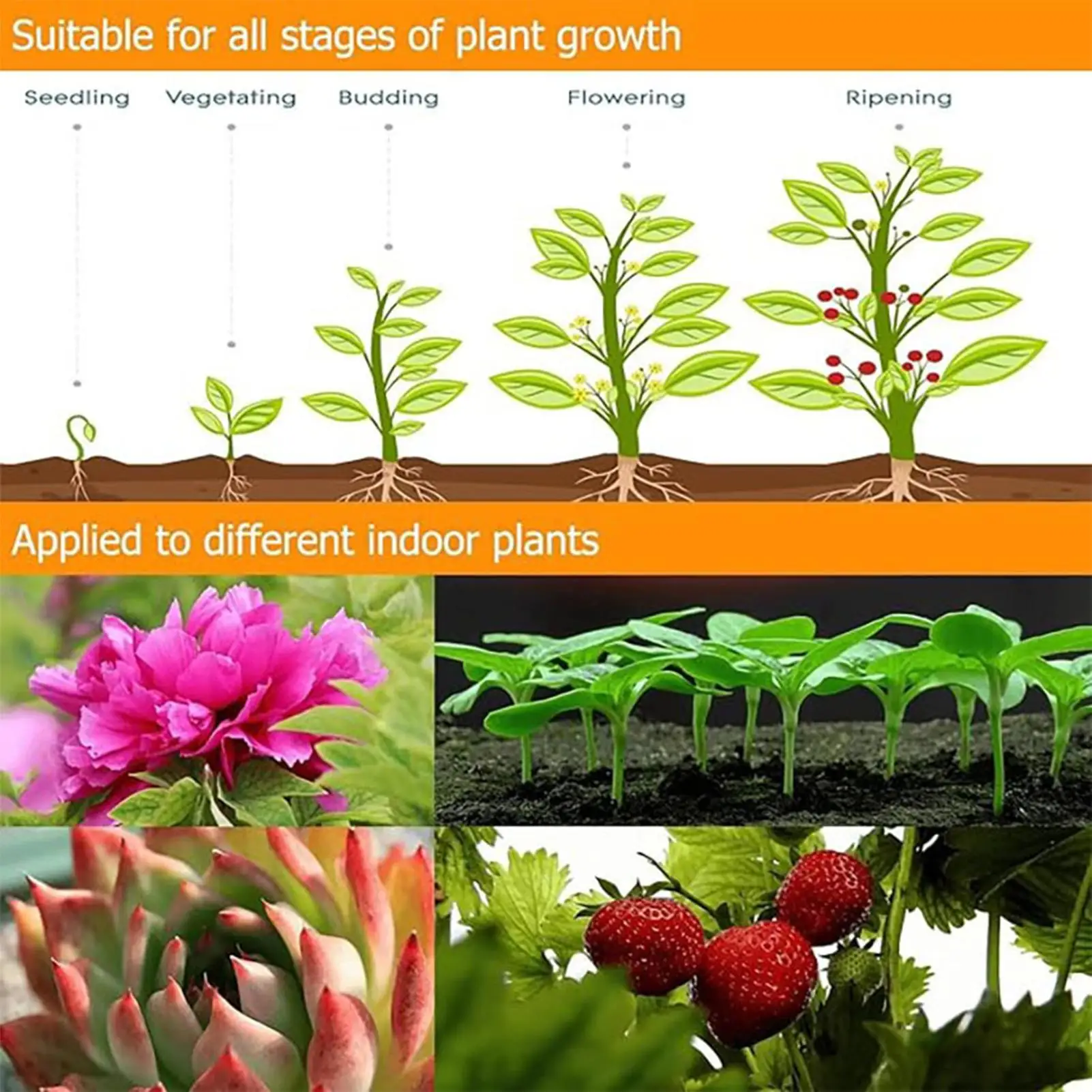 LED Grow Light Plant Grow Light 4-Level Dimmable LED Lamp For Hydroponics Bonsai Care Vegetable Farming Greenhouse Flower Growth