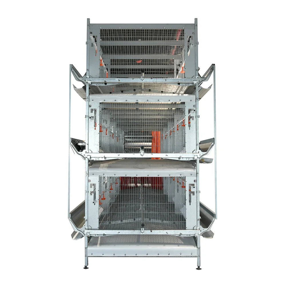 aCommercial Chicken Breeder Cage Equipment With Large Bird Space And Aluminized Zinc Structure For Poultry Breeding Farms