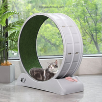 Cat Treadmill Silent Roller Weight Loss Climbing Frame Fitness Running Walking Wheel Pet Indoor Playing Toy Exercise Equipment