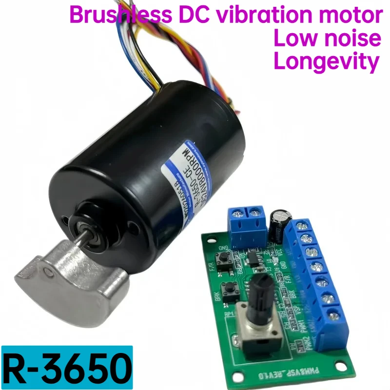 Brushless DC vibration motor, low noise with controller, 12V/24V micro motor, R-3650