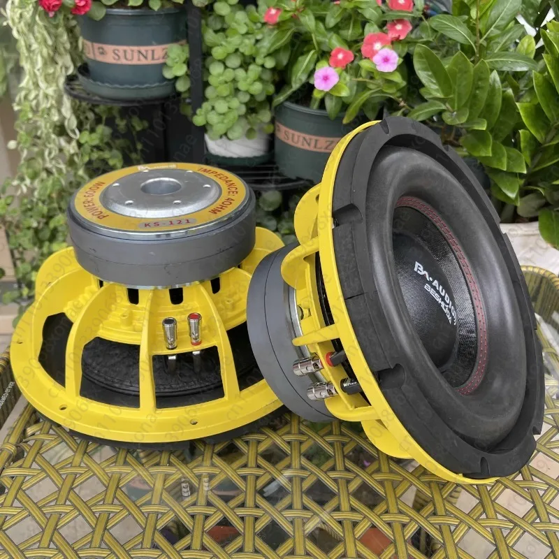 Dual Magnetic Dual Voice Coil Long-stroke 10-inch and 12-inch Subwoofer Speakers, Super Subwoofer Unit