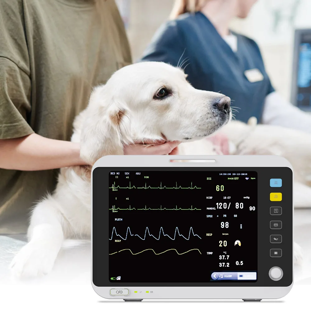 

Pet Hospital Use Critical Care Veterinary Monioring Vittal Siign Multipara Etco2 Mnitor Portable Veterinarios Multi Vet Moitor