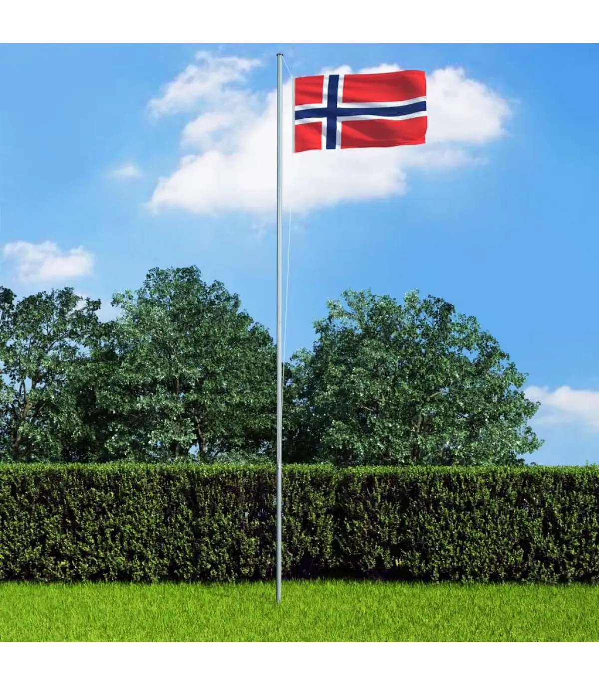 Flags and wind sleeves Norwegian flag 90x150 cm