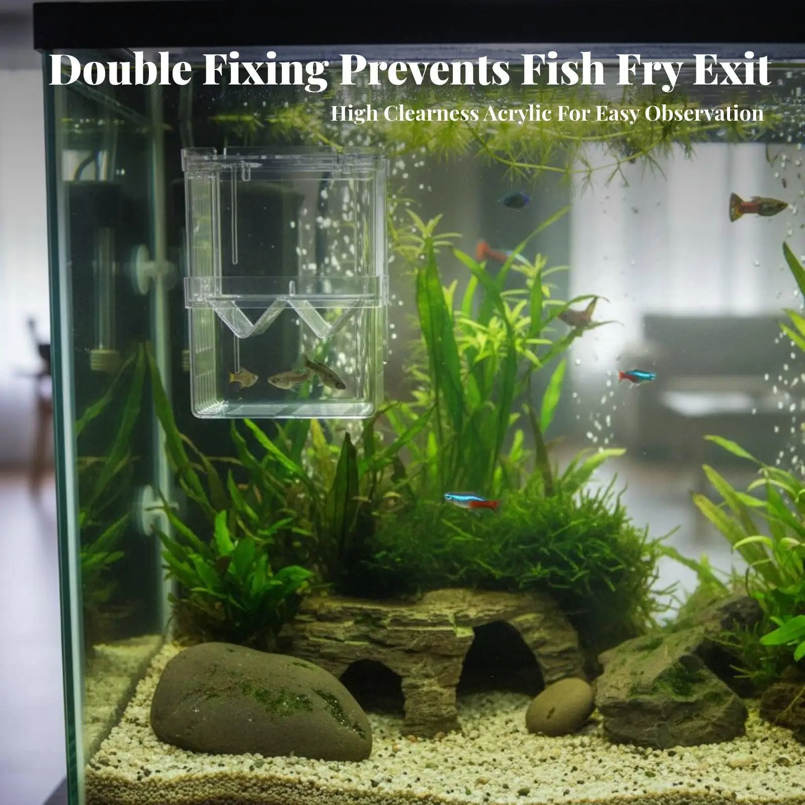 Aquarium Acrylic Breeder with V Shaped Grate for Guppy Fry Safe Hanging Fish Nursery Multi Chamber Design