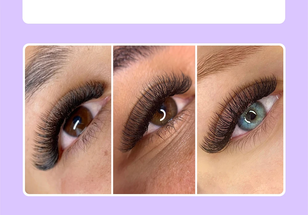 LUKATME 4D W Wimpern C/D Curl 8-15mm Vorgefertigte Volumen 4D Wimpernverlängerung W-Form 4D Fächer BASF Faux Mink Wimpern – Detail 7